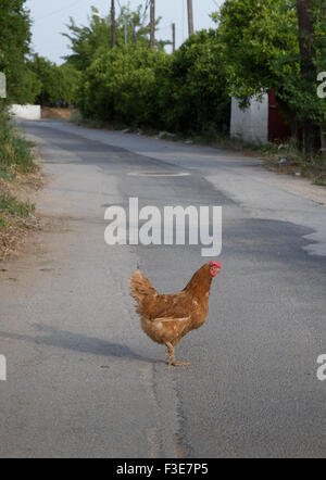 Entdecken Sie die spannende Welt des Chicken Road Casinos in Deutschland Entdecken Sie die spannende Welt des Chicken Road Casinos in Deutschland